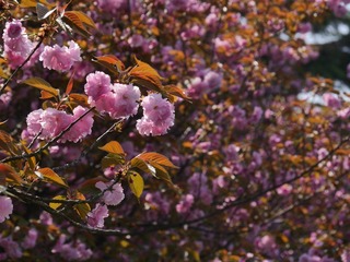 2F295802-7817-462C-981C-62867F053AAB/L0/001