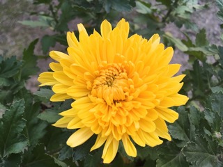 2B1F6284-C2E1-4F6C-8162-92AB5D6FBB5A/L0/001