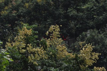 DSC_5163.JPG