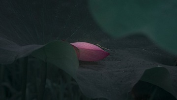 1000019211