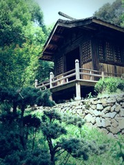 IMG_61713.jpg