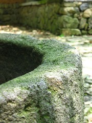 IMG_61802.jpg