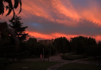 IMG_0048.JPG