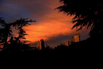 IMG_0052.JPG