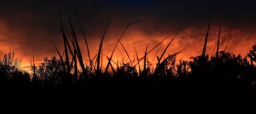 IMG_0038.JPG