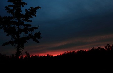 IMG_0072.JPG