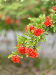 F025AE8F-D5CF-465E-A45D-3D55EB25608E/L0/001