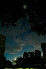 4208C20F-7AB1-4A38-B4AE-55CBC812B266/L0/001