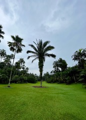 B5301D3C-4574-4D8B-923B-A066E1957C99/L0/001