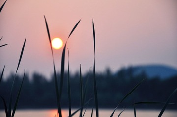 害羞的小太阳