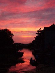 SDC11362.jpg
