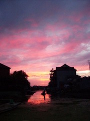SDC11363.jpg