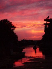 SDC11364.jpg