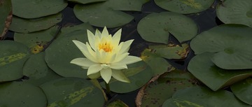 D9707994-7E0B-407F-B767-A3D73C765EB6/L0/001