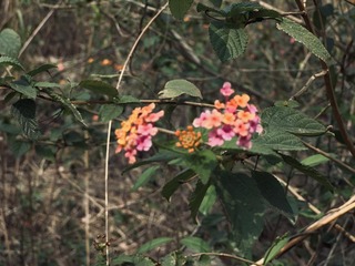 14D967B1-4F26-4495-BA46-291DBD5C9238/L0/001