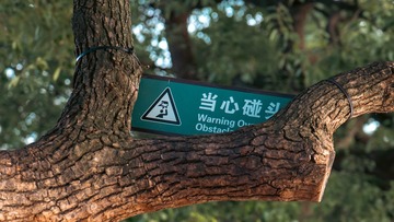 E50BC663-8989-43E8-A2DB-403F922F1560/L0/001