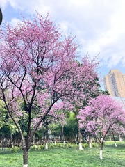 177BABA3-96B5-4153-A71C-42B78B61C725/L0/001