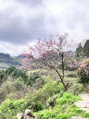 92A0D9C4-4C4E-4029-82FA-9C98C01EAB37/L0/001