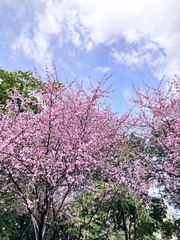 B36FC9A0-56C9-4759-9A9D-BA0B76DD5011/L0/001