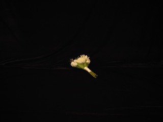 ADC4C68F-B9F0-4511-B213-BB91DB8A4736/L0/001