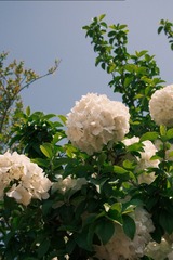 DE3109C8-6AAC-4102-B4C4-ECF326EA79F6/L0/001
