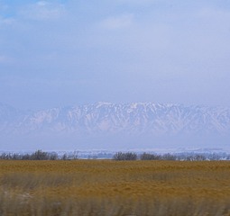 D553E463-0EEC-4101-80A7-3BBE26EFADFA/L0/001
