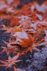 B10CE1E8-EECB-40F3-B025-87E248CF07C8/L0/001