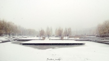 WP_20130312_001.jpg