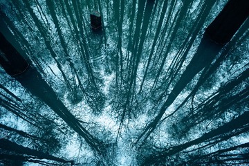 1000010097