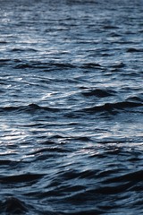 9A0C9154-02BB-4A8A-B51E-1EACC84A46E6/L0/001