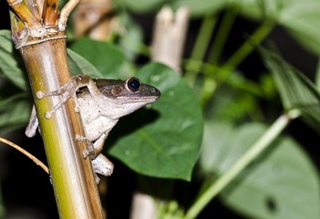 _DSC8022.jpg