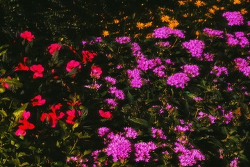 10CE51F9-B3F8-4504-AC19-58828B231665/L0/001