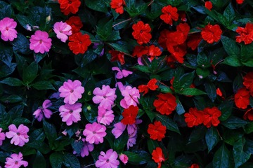 B3F261A4-99EA-49B9-A119-7CFCA2F8E30D/L0/001