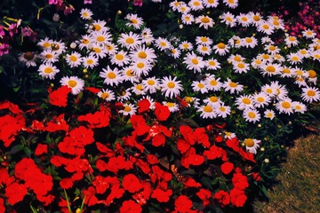 D8603F97-DDD3-4949-B634-6181D35338DA/L0/001