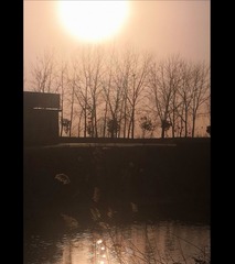 284627