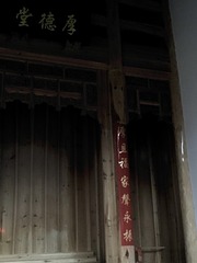 EF89130E-4029-487E-80C4-8C471D459849/L0/001