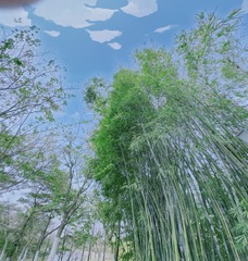2C79E594-62C4-450A-B0D8-23049C40DC9F/L0/001