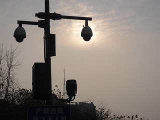 80344