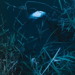 DSCF0476PF