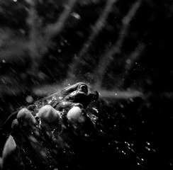 _DSC9407PF