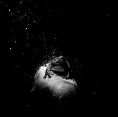 _DSC9414PF