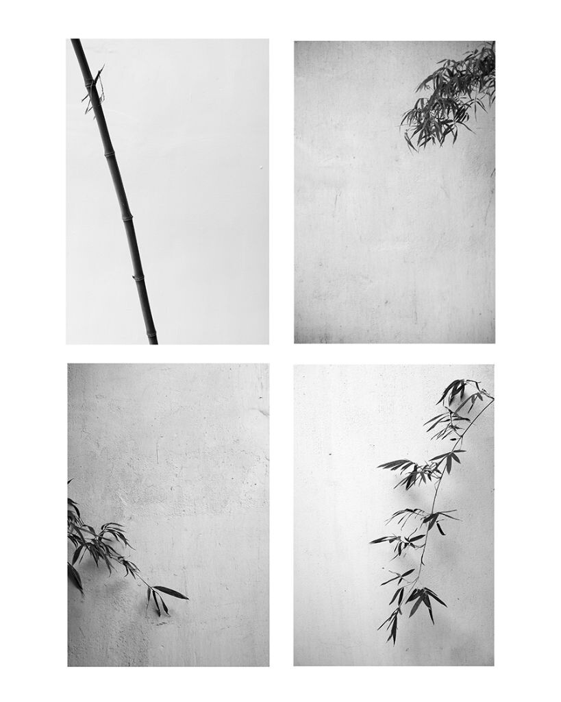 关于苏博某段南墙的片面回忆