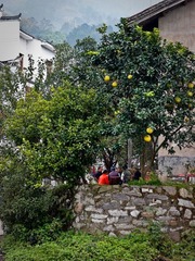 PB210486.jpg