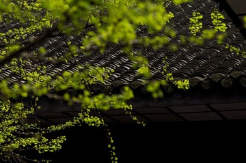 _dsc074820120405.JPG