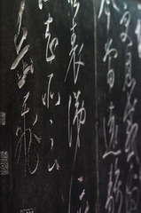 _dsc081620120405.JPG