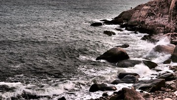 20130416-P4162246.jpg