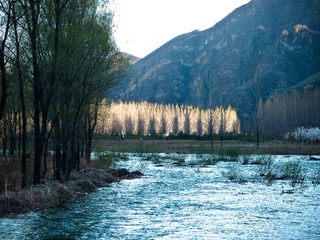 20130430-P4303061.jpg