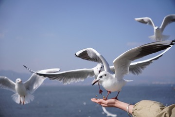 724AB774-E41B-4ACE-A946-7AC785396F0E/L0/001
