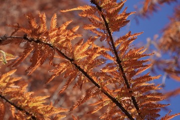 874AEE0F-FF04-40E1-857C-7375249FD0B8/L0/001