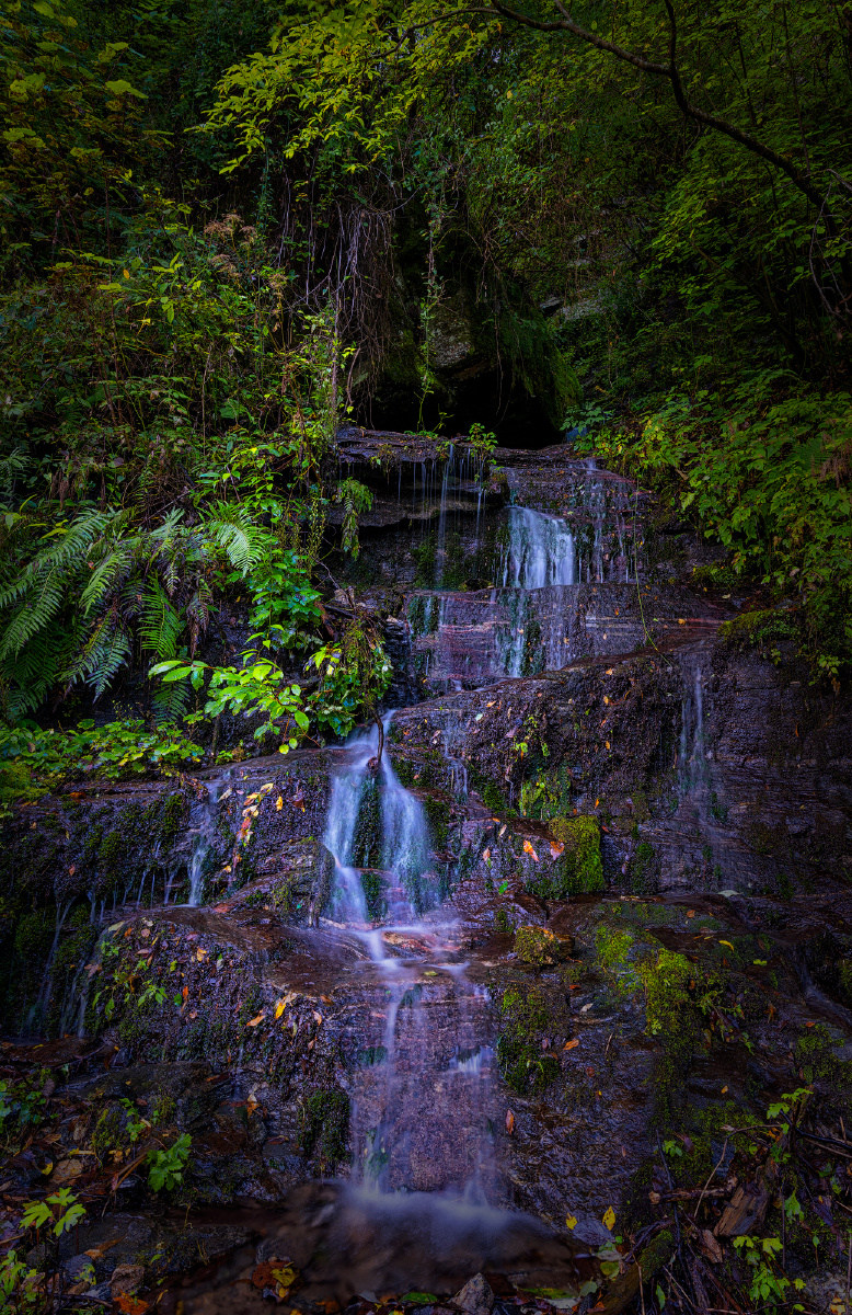 黄柏塬之大箭沟
